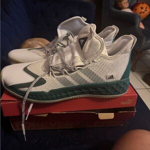 Adidas Pro Boost Low Basketball Shoes in White